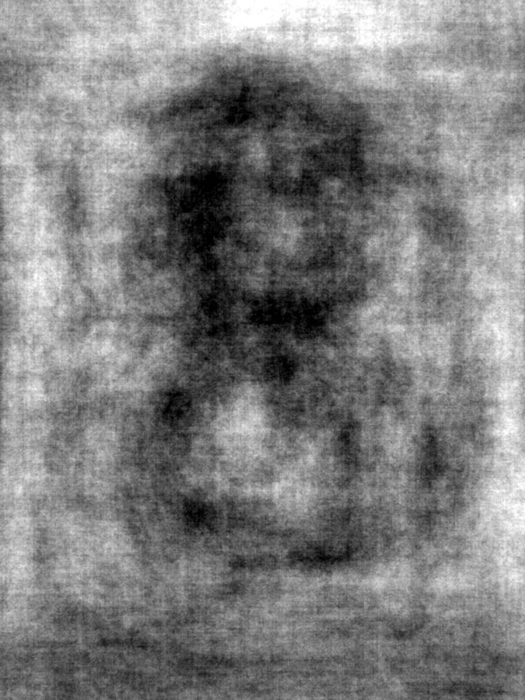 The mean luminance with the lens gradient removed