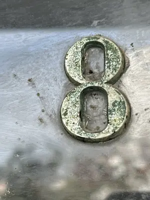 A found 8 in Lesbos