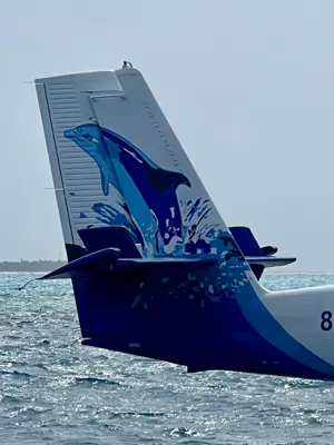 A found 8 in the Maldives
