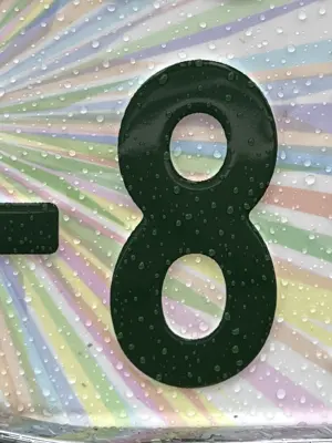 A found 8 in Kawasaki