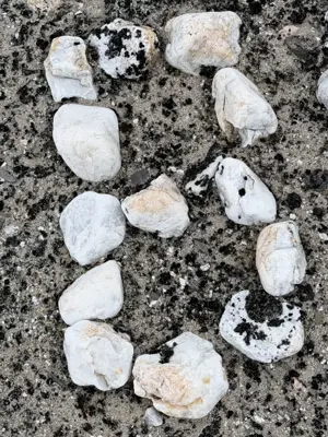 An 8 laid in stone on Chermsideøya
