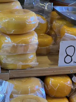A found 8 in Rotterdam