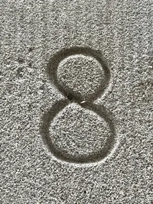 A found 8 in Zürich