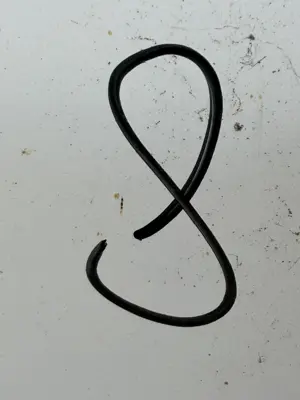 A found 8 in Alcácer do Sal