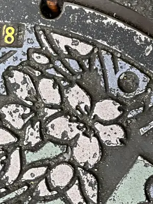 A found 8 in Osaka