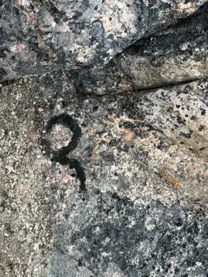 An incomplete proto-8 of moss and algae on Chermsideøya