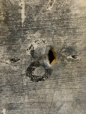 A found 8 in Ny-Ålesund