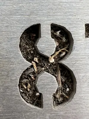 A found 8 in Palma