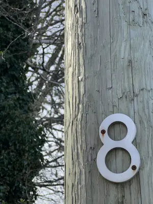 An 8 photographed in Tofino, 13 february 2025