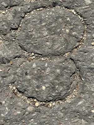 A found 8 in Paris