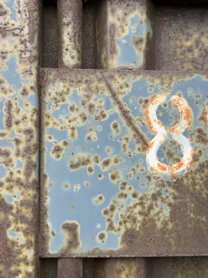 A found 8 in Longyearbyen