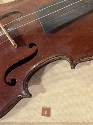A found 8 in Hydra