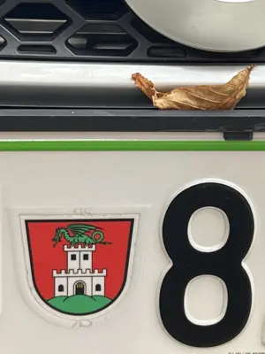A found 8 in Ljubljana