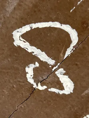 A found 8 in Florence