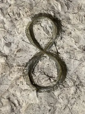 A found 8 in Hydra