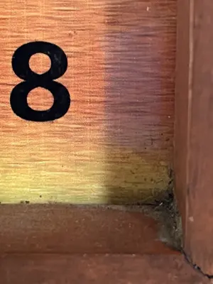 A found 8 in Koh Samui