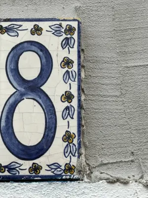 A found 8 in Alcácer do Sal
