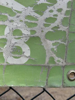 A found 8 in Alcácer do Sal
