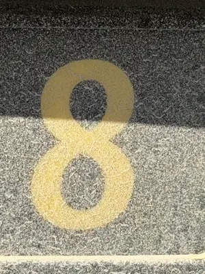 A found 8 in Ny-Ålesund