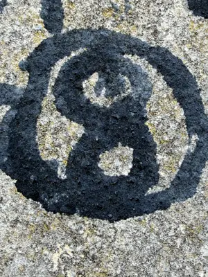 A found 8 in Alcácer do Sal