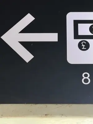 A found 8 in Koh Samui