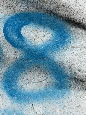 A found 8 in Alcácer do Sal