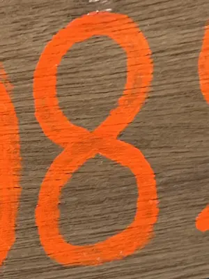 A found 8 in Koh Tao