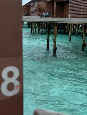 A found 8 in the Maldives