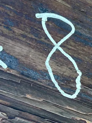 A found 8 in Hydra