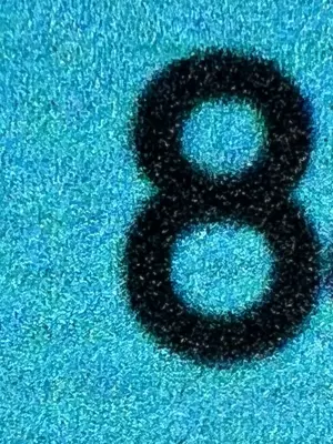 A found 8 in the Maldives