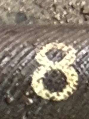 A found 8 in the pack ice