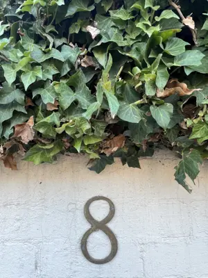 A found 8 in Melbourne