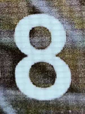 A found 8 in Koh Samui